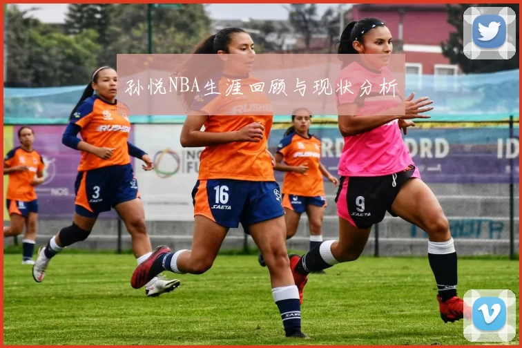 孙悦NBA生涯回顾与现状分析